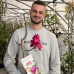 Magnólia (Magnolia) ‘MEGANOLIA’® – výška 70-90 cm, kont. C7L